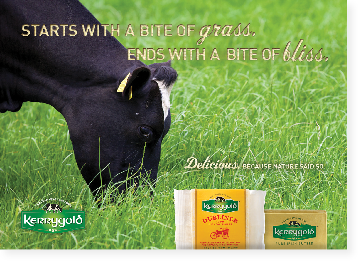 kerrygold-starts-with-a-bite-of-grass-